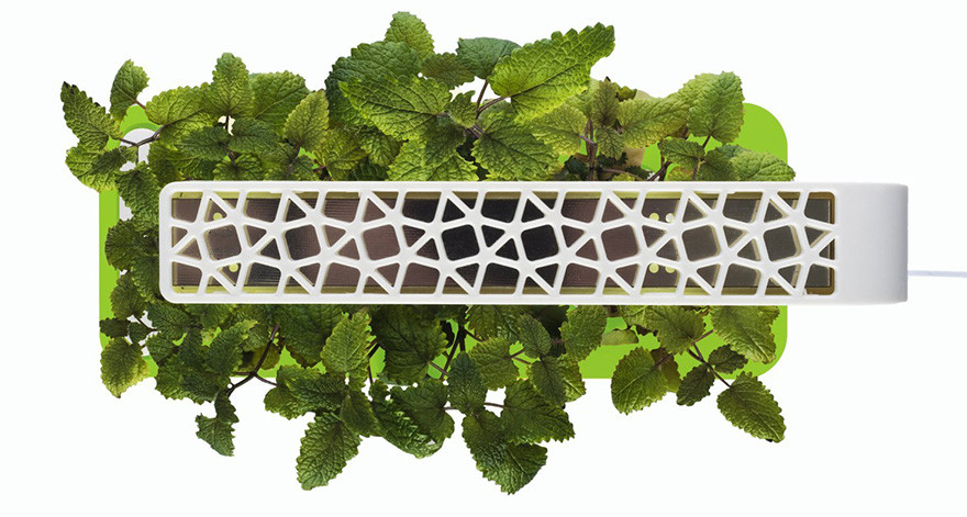 Click & Grow Smart Herb Garden - Jardinière d'intérieur