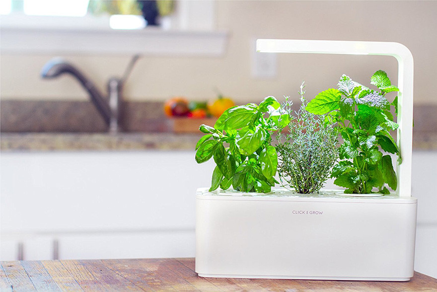 Click & Grow Smart Herb Garden - Présentation
