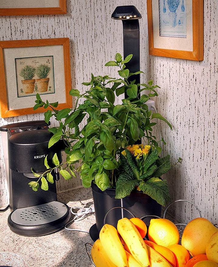 Tregren Genie noir 3 plantes mini Jardinière et Potager d'intérieur