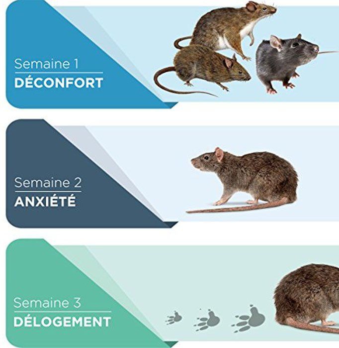 Répulsif Ultrason Souris et Rat 2019 - Prise à Double Fréquences