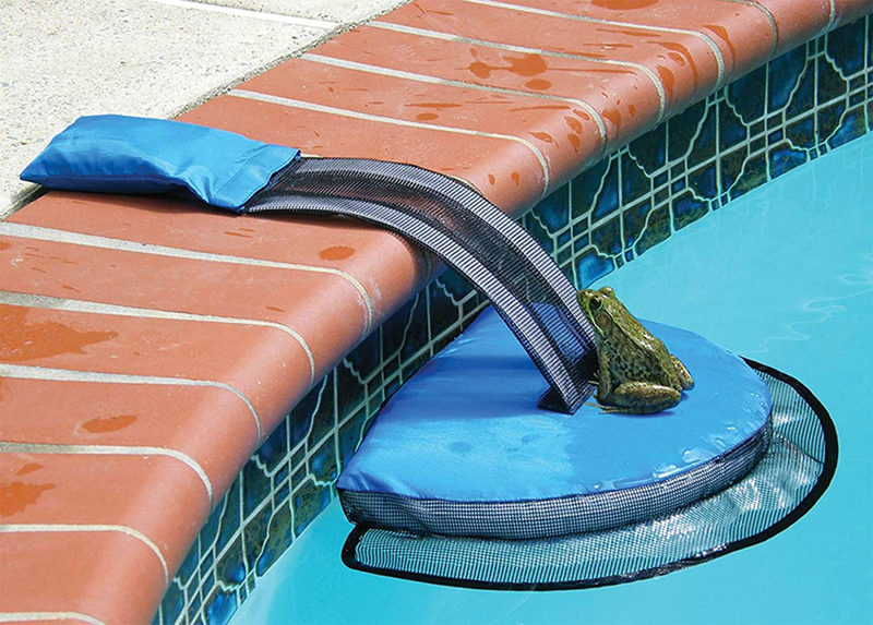 avis - Rampe de survie pour animaux pour piscine Froglog