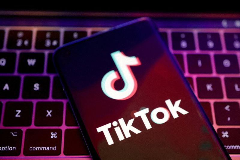 L'avenir des alternatives à TikTok Une analyse des nouvelles fonctionnalités vidéo des réseaux sociaux