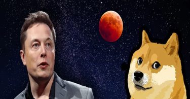 Elon Musk propulse son DOGE à la Maison Blanche, le chaos règne!