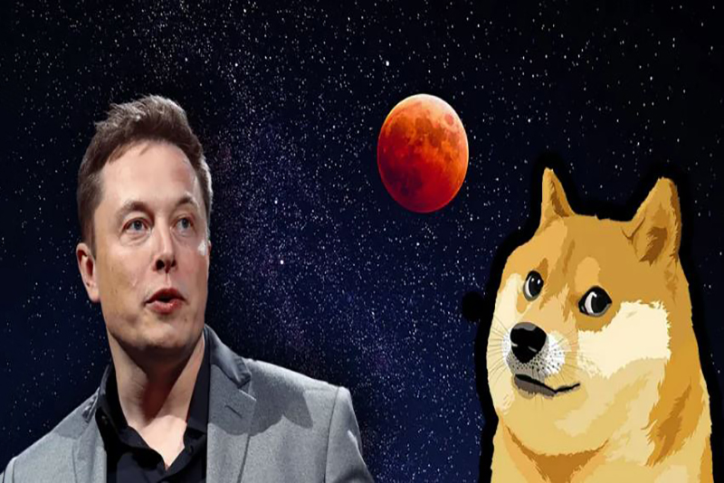 Elon Musk propulse son DOGE à la Maison Blanche, le chaos règne!