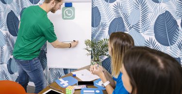 WhatsApp innove avec des thèmes personnalisés pour vos discussions