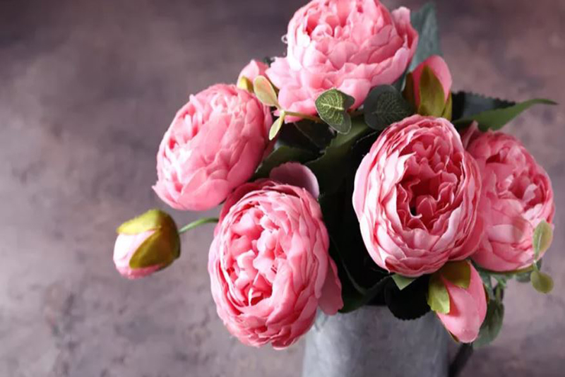 Ces magnifiques fleurs dégagent un parfum désagréable : à éviter près de vos fenêtres