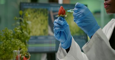 Les chercheurs découvrent une méthode révolutionnaire pour cultiver des fruits et légumes géants