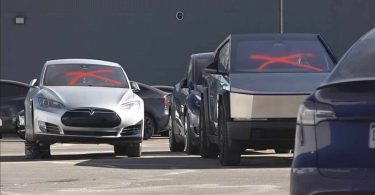Les manifestants de Tesla Takedown préparent leur plus grande mobilisation à ce jour