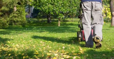 Que vous soyez propriétaire ou locataire, attention à la contravention de 1500 euros liée à votre jardin