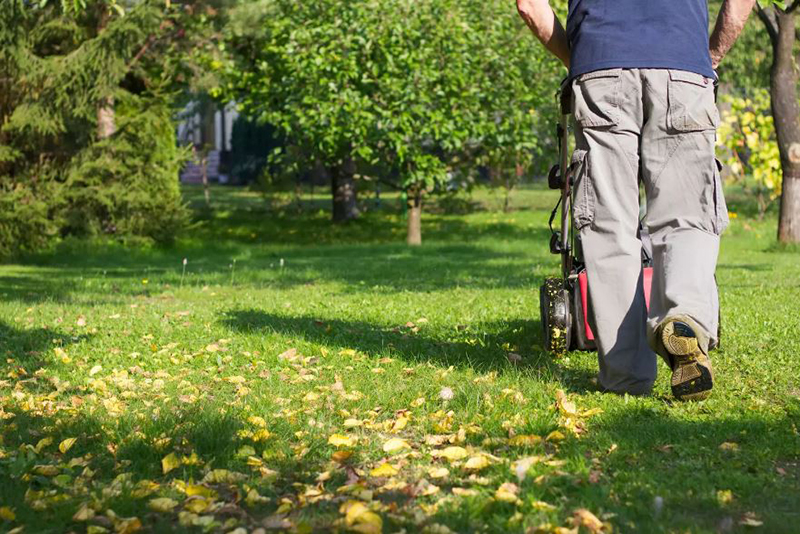 Que vous soyez propriétaire ou locataire, attention à la contravention de 1500 euros liée à votre jardin