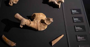 Cet Artefact Romain Ancien Est Également un Fossile de 453 Millions d'Années