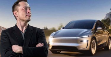 Les fans de Tesla découvrent avec stupeur la chute de leurs investissements dans le lancement des robotaxis d'Elon