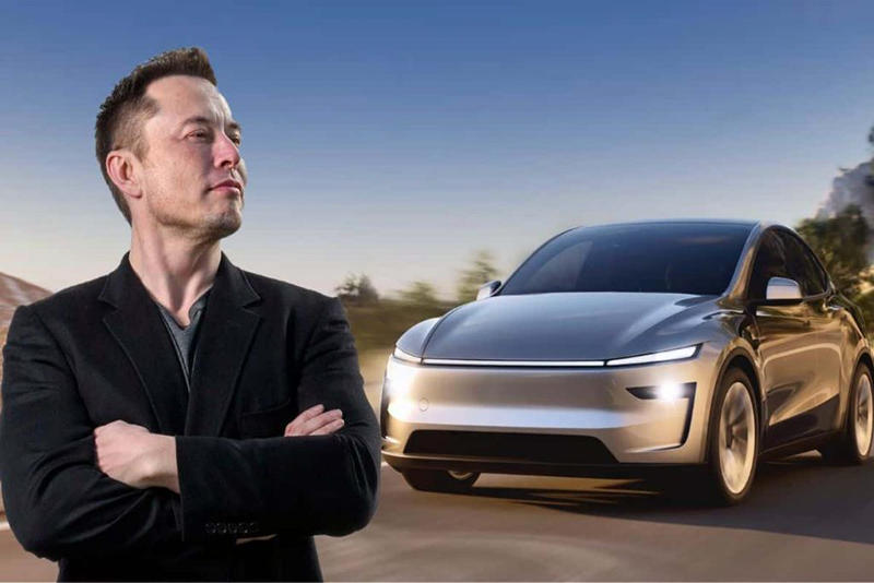Les fans de Tesla découvrent avec stupeur la chute de leurs investissements dans le lancement des robotaxis d'Elon