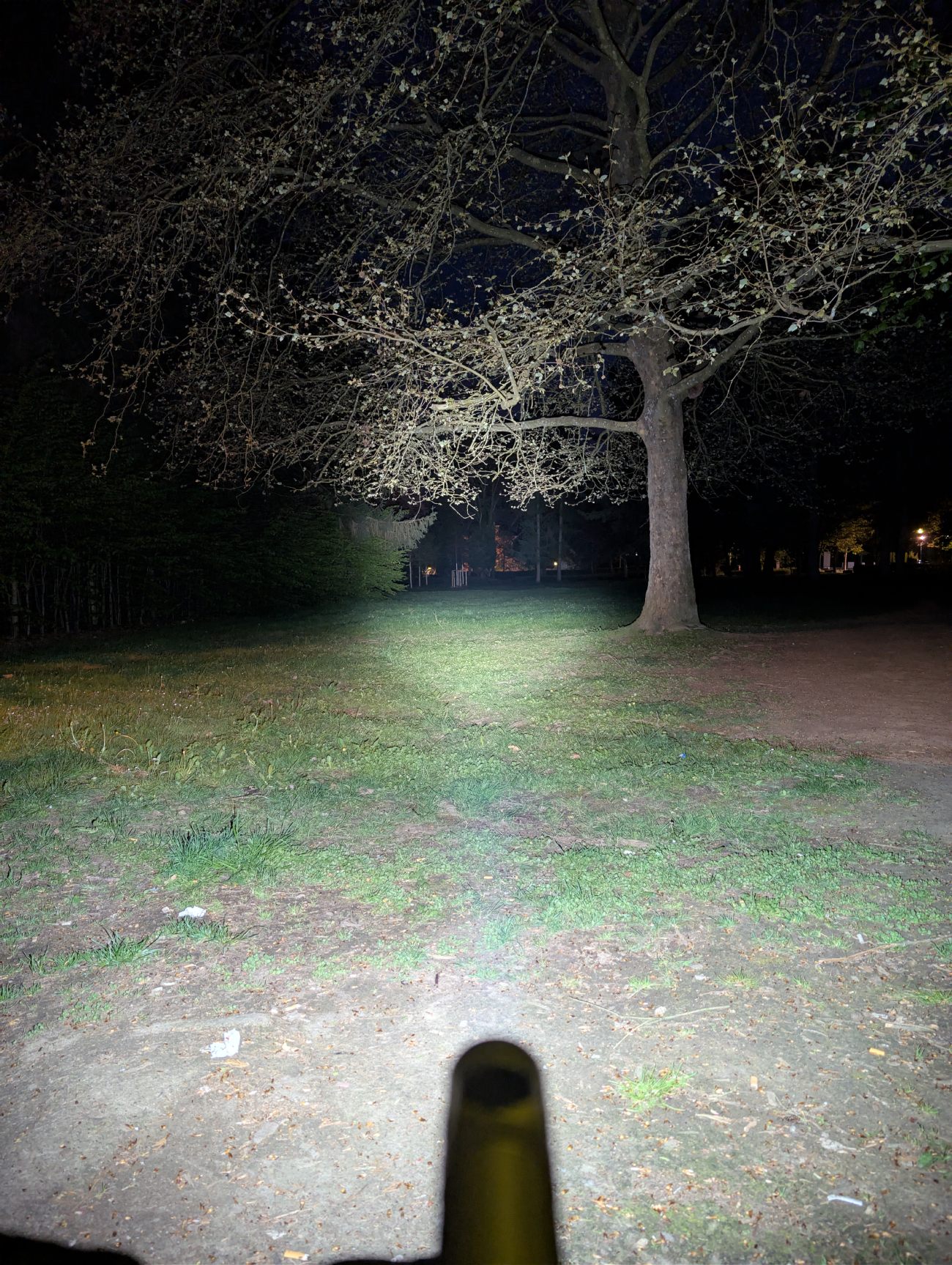 Olight Baton Ultra - faisceau Turbo de nuit en parc, portée réelle visible à plus de 50 mètres