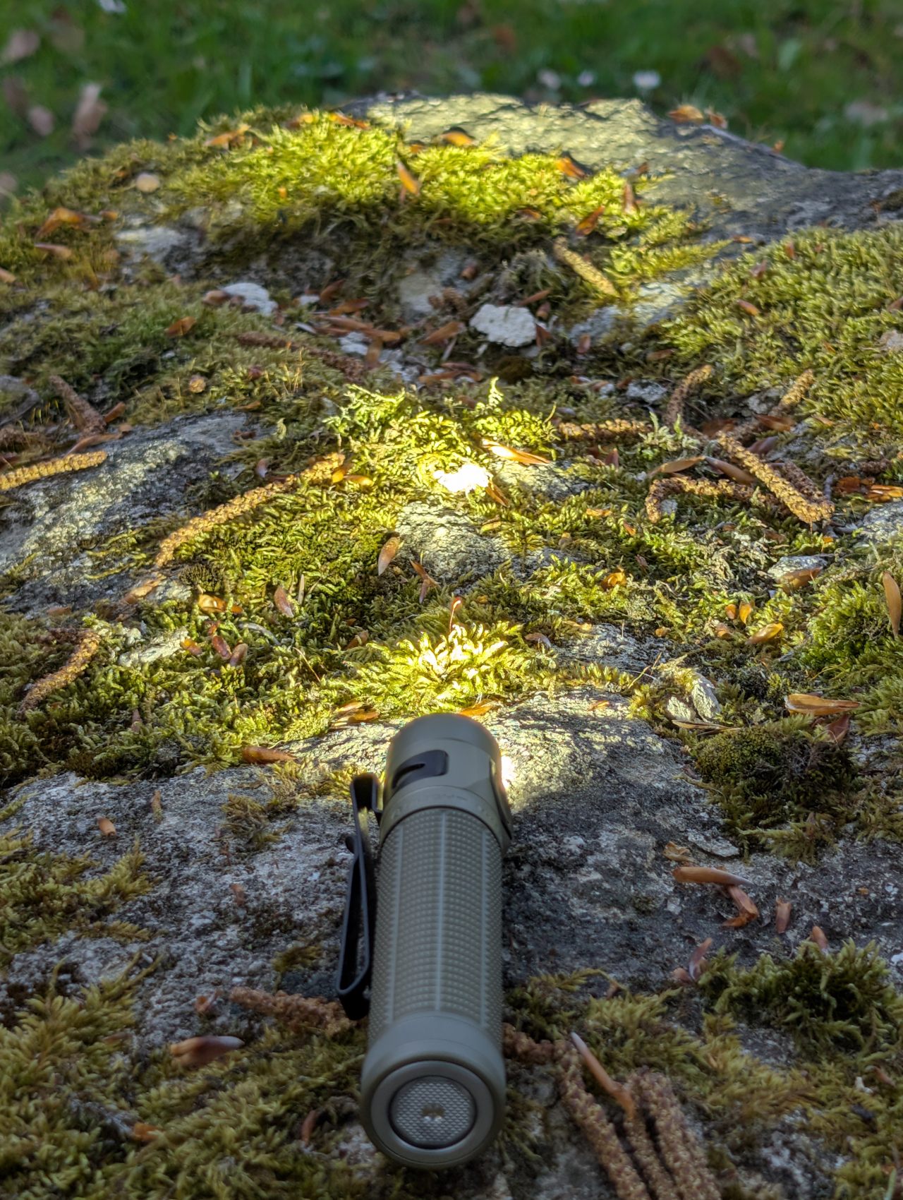 Olight Baton Ultra - faisceau Turbo en plein jour sur rocher moussu, puissance EIP 1 visible à la lumière naturelle