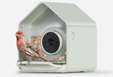 Mangeoire connectée Birdbuddy Nook vert sauge avec sa caméra ronde et un roselin posé sur le perchoir, visuel officiel de la nouvelle mangeoire à 99 dollars
