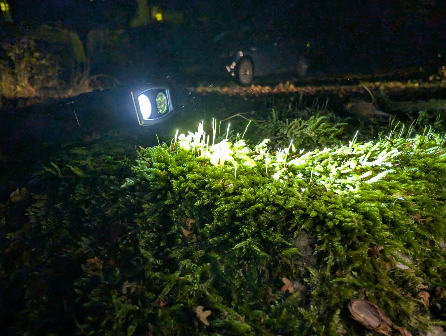 Olight ArkPro allumée en Pure Flood posée dans la mousse, de nuit, voiture en arrière-plan