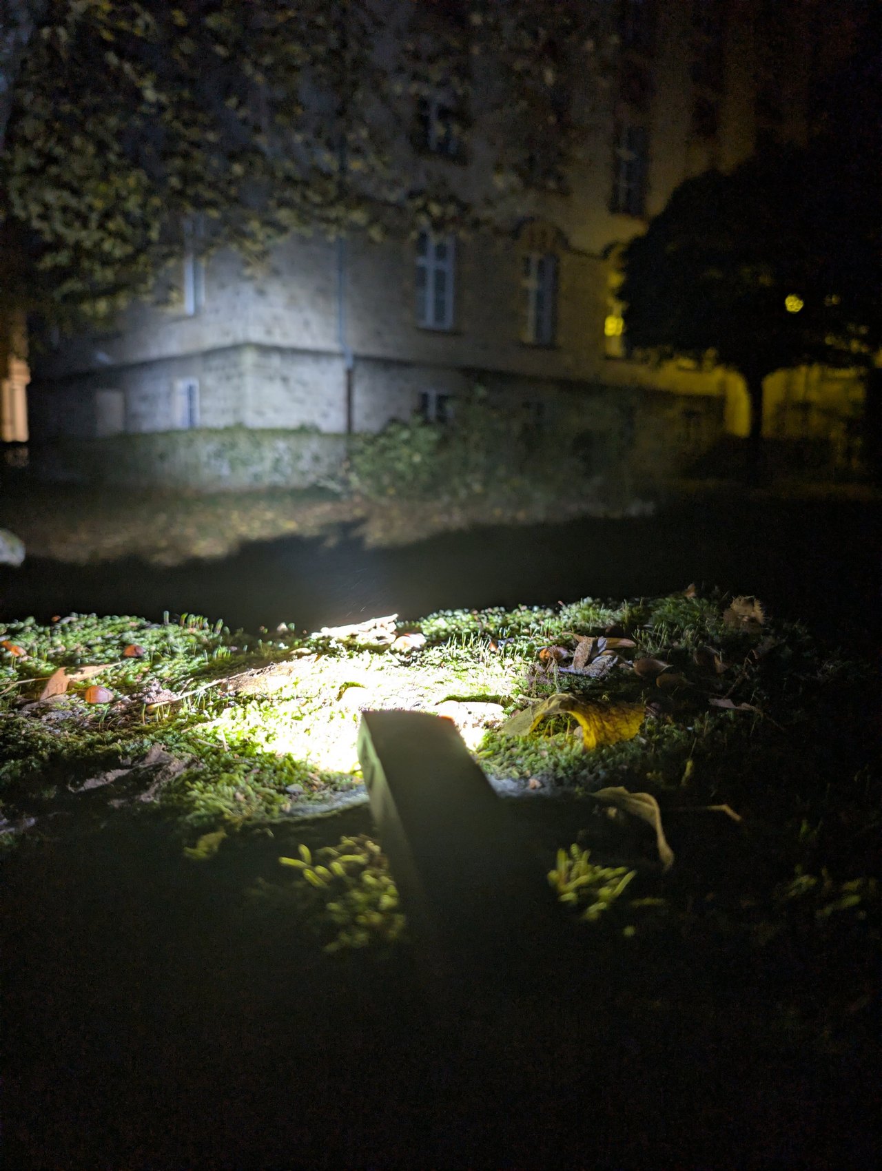 Faisceau spot de l'Olight ArkPro éclairant la façade d'un bâtiment de nuit, lampe au premier plan sur la mousse