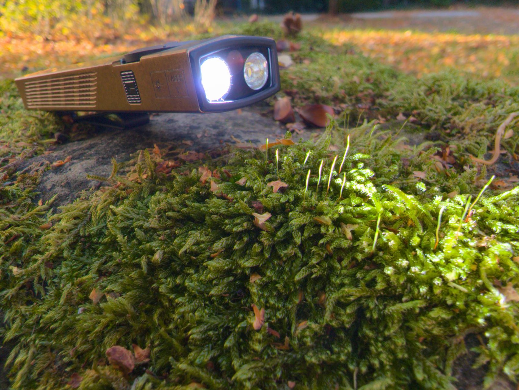 Faisceau Pure Flood de l'Olight ArkPro éclairant la mousse en plein jour, lumière large et homogène